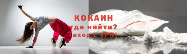 гашик Белокуриха