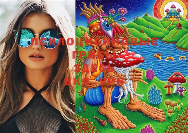 гашик Белокуриха