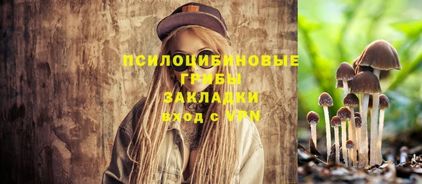 гашик Белокуриха