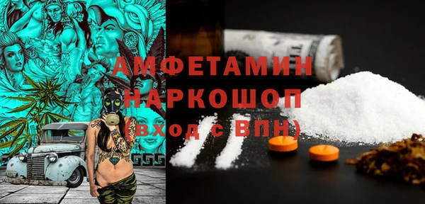гашик Белокуриха