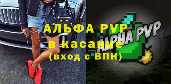гашик Белокуриха