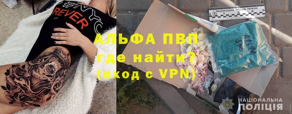гашик Белокуриха
