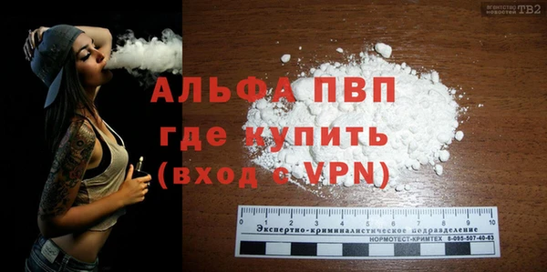 гашик Белокуриха