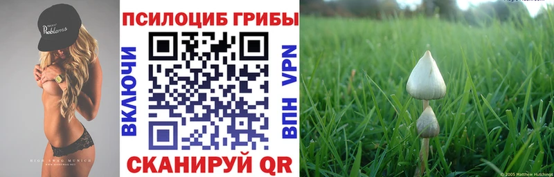 Псилоцибиновые грибы Magic Shrooms  купить   Плёс 